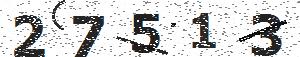 تصویر امنیتی