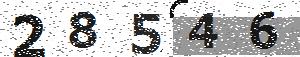 تصویر امنیتی